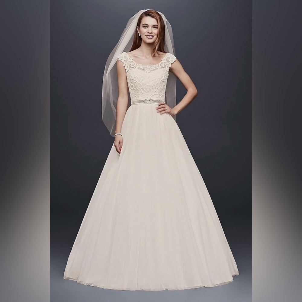 David's Bridal SZ 4 Ivory Tulle Wedding Dress with Lace Illusion Neckline WG3741